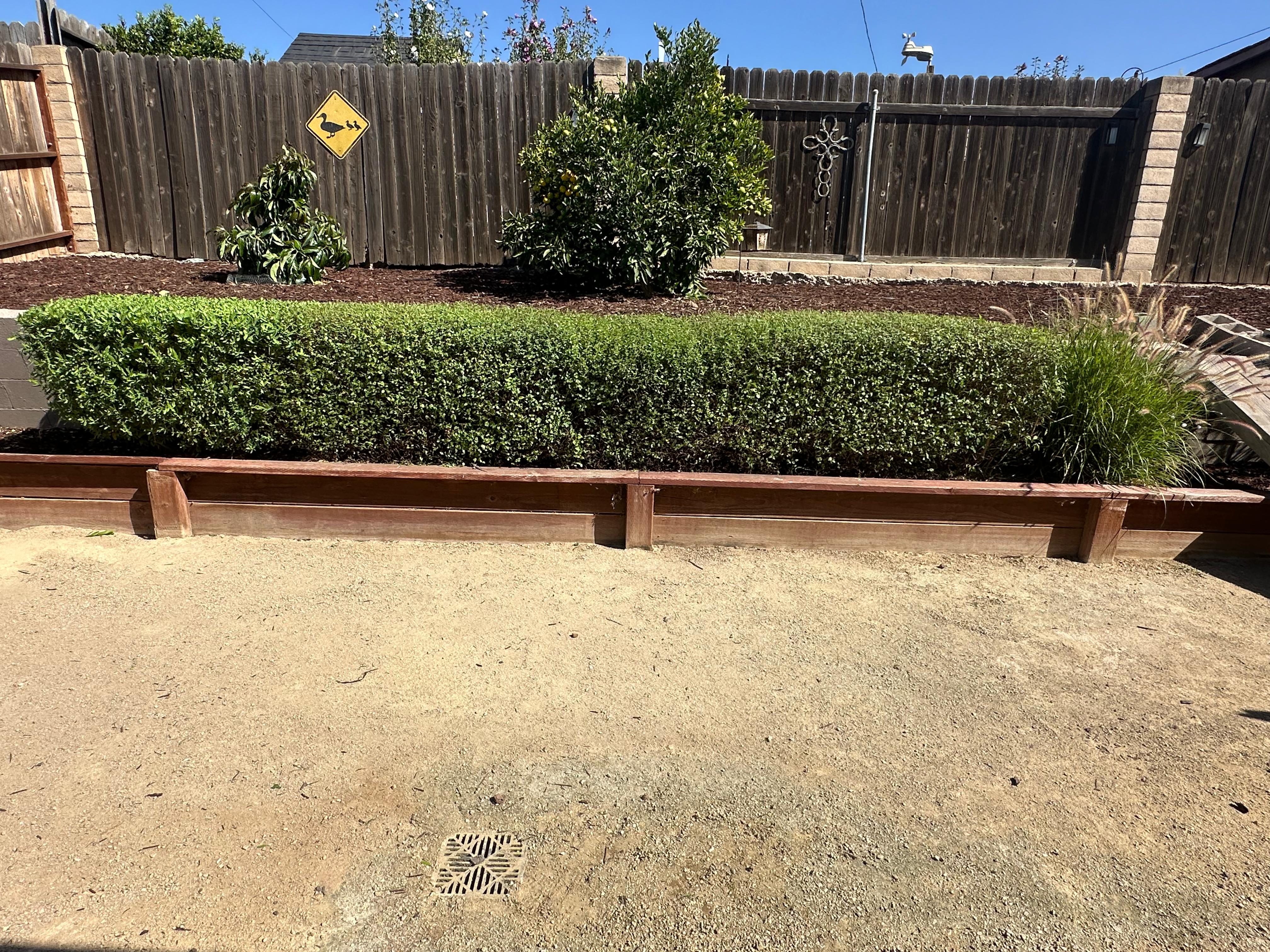 Tree Services